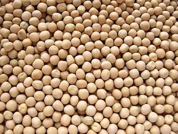 White Peas/Bili Batani