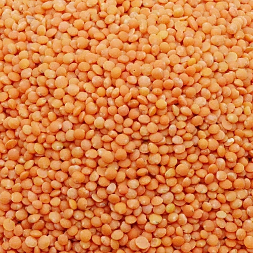 Masoor Dal