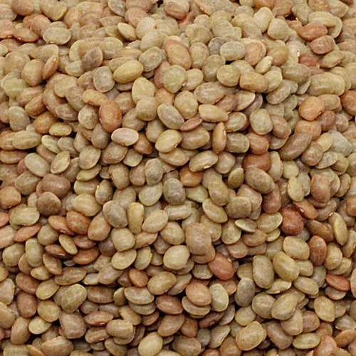 Horse Gram