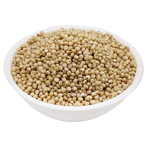 Jowar Sorghum