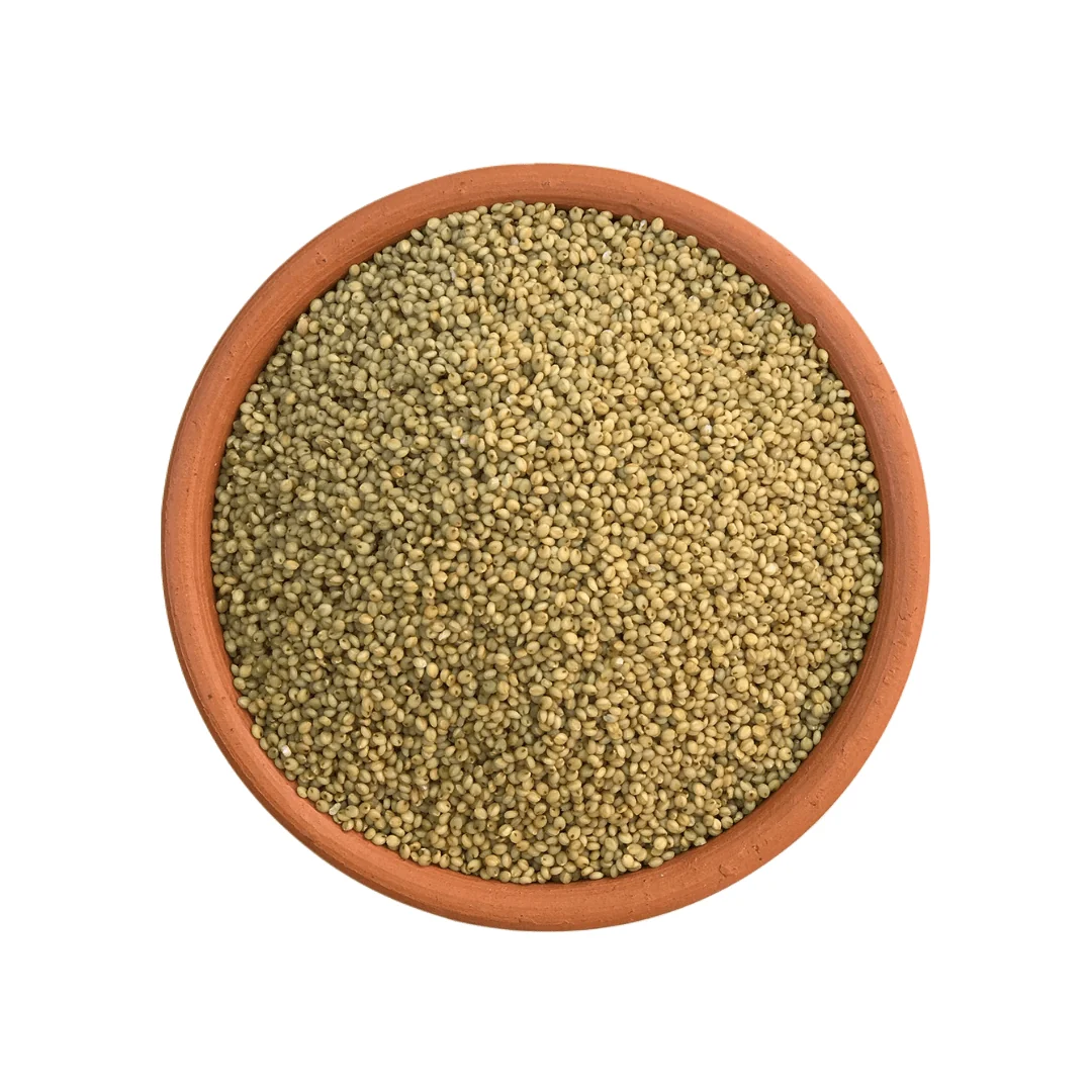 Browntop Millet