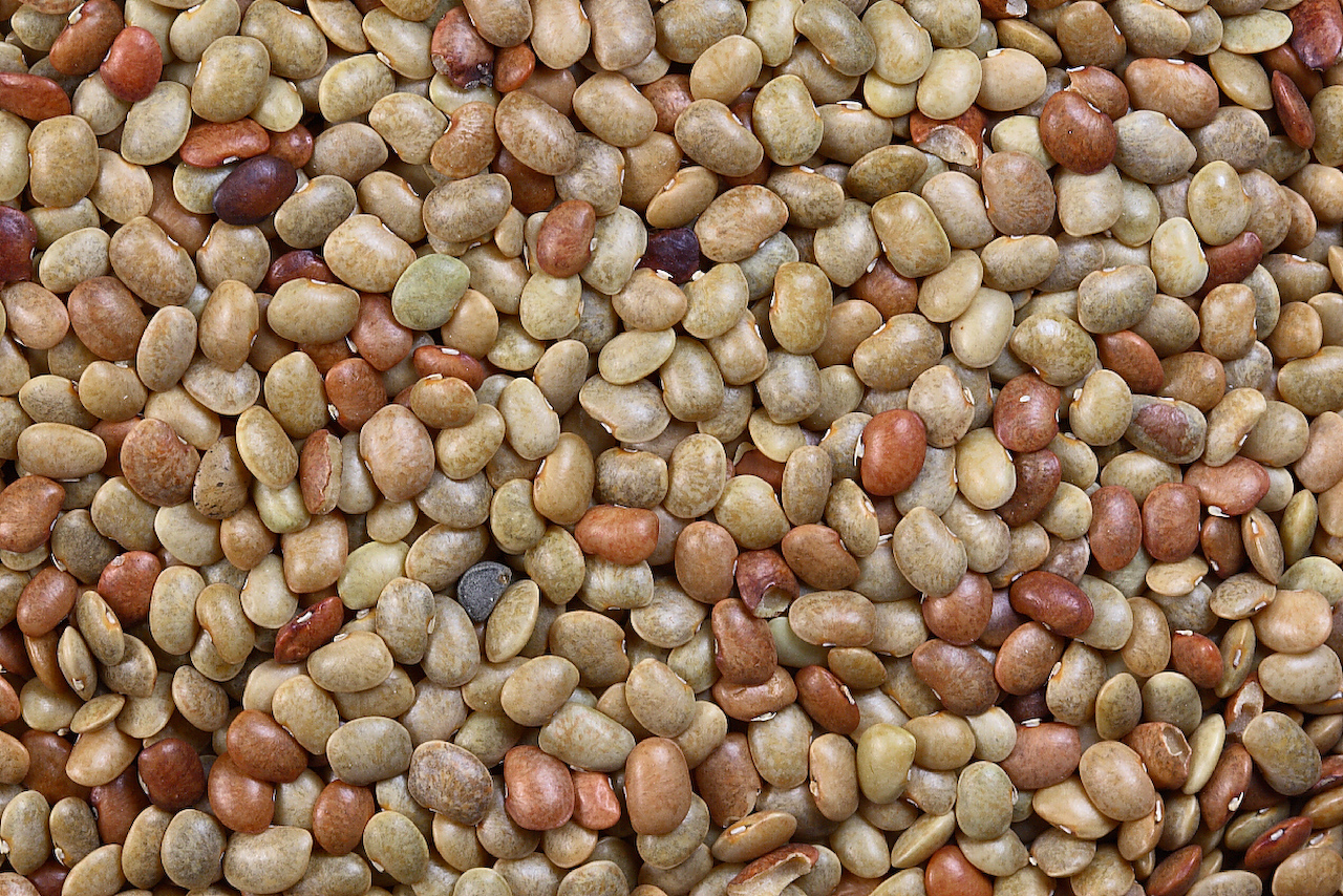 Kulth Dal