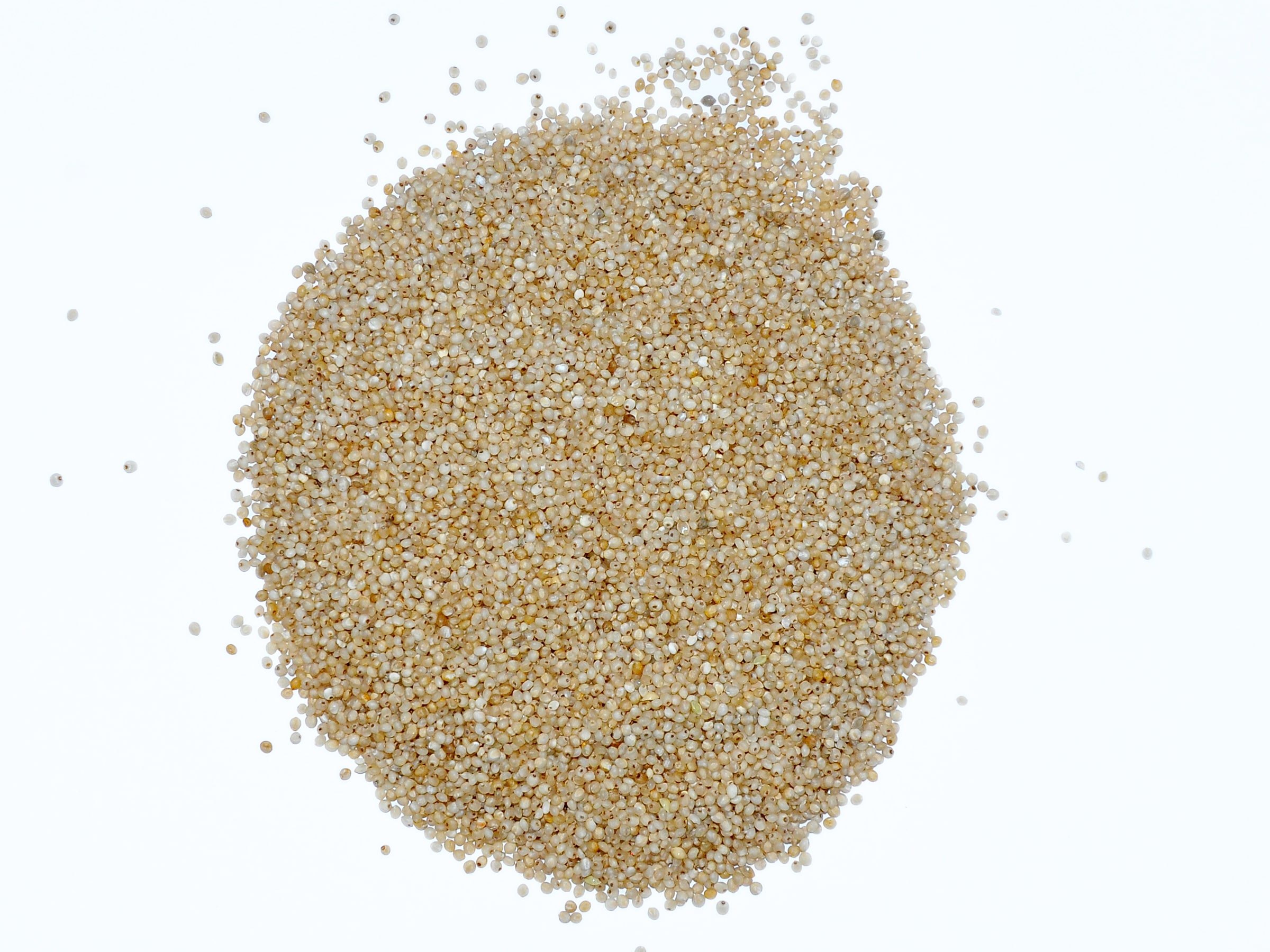 Barnyard Millet Sanwa Oodalu