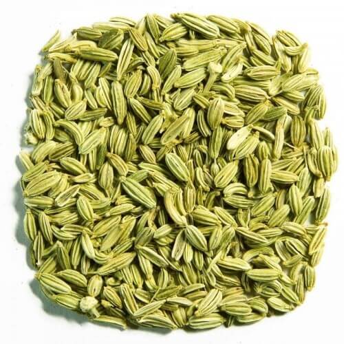 Fennel Saunf