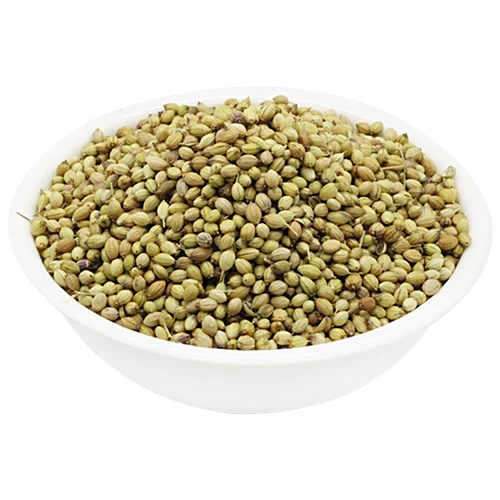 Coriander Dhania seeds