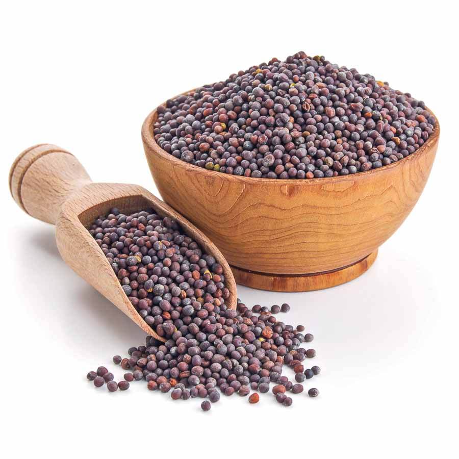 Black Mustard Sasive