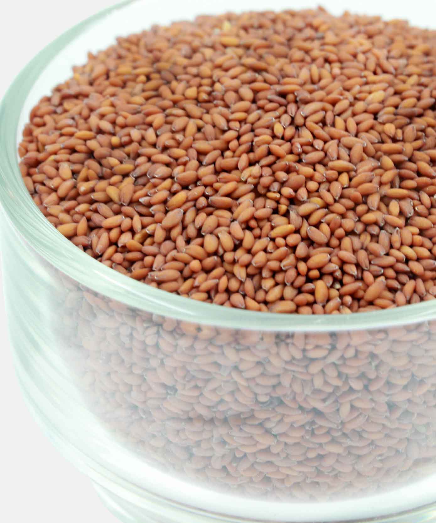 Halim Seeds